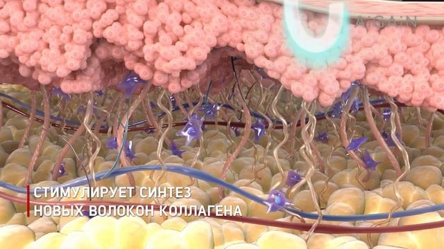 AIGAIN  косметический прибор с искуственным интеллектом