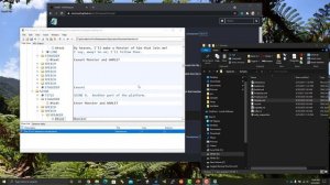 XmlNotepad