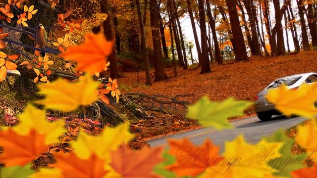 Осенняя песенка. Песенка осени смотреть онлайн