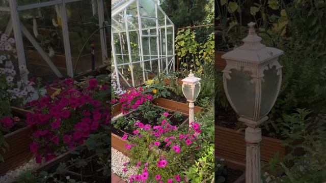 Как красиво солнце на закате лета