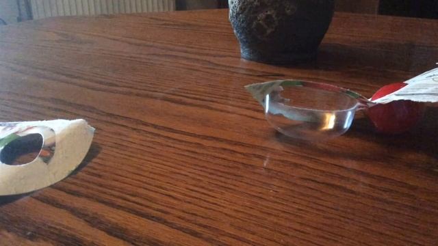 Silly Pitty ⚫️Лизун пригает,рвётся⚫️ смотреть онлайн