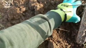 Новый сезон! Коп с металлоискателем!