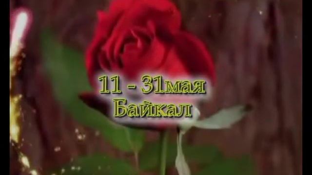 ОШО Мистическая роза смотреть онлайн