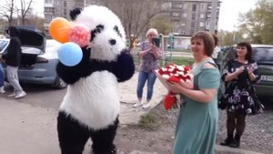 мишка панда день рождения