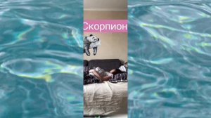 Как просыпаются разные знаки задиака❤️💙