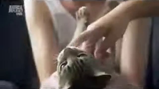 Австралийский мист смотреть онлайн