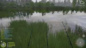 Русская рыбалка 4 - озеро Медвежье - Густера под деревом