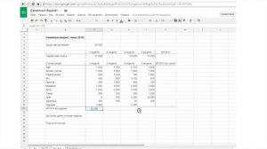 Введение в электронные таблицы (MS Excel). На примере семейного бюджета