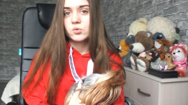 VLOG:НЕ СМОГЛИ СПАСТИ ЩЕНКА,ИСТОРИЯ РОЖДЕНИЯ ЩЕНКОВ ЙОРКА. ИХ БЫЛО БОЛЬШЕ? РОДЫ ЙОРКА.ИСТОРИЯ.