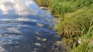 ✅?Что будет если взорвать мощную петарду в воде?? ТЕСТ ПЕТАРД В ВОДЕ ?ВЗРЫВАЕМ ПЕТАРДЫ ? ТОП 30