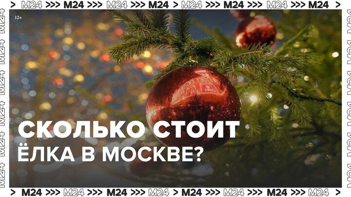 Москвичам рассказали о стоимости елок на столичных базарах - Москва 24