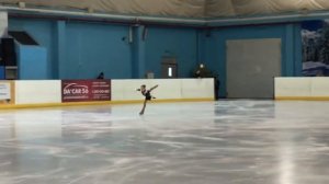Александра Несмеянова