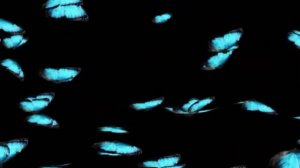 ENRIQUE IGLESIAS - Ring my bells (на русском MERHAEL COVER 2022)