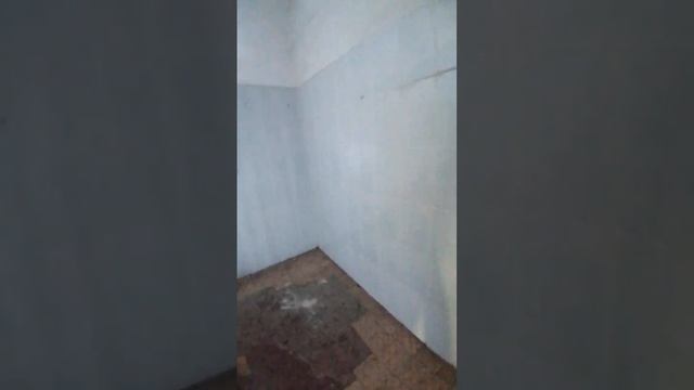 Малосемейка на Пластунской смотреть онлайн