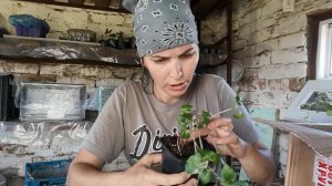 Обзор посылки от совместной закупки