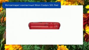 Фотоаппарат компактный Nikon Coolpix S01 Red обзор и отзыв