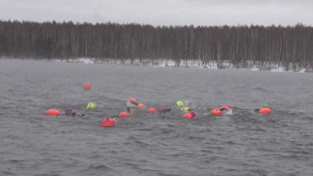 Десна-ТВ: Десногорское водохранилище стало местом открытия сезона заплывов на открытой воде