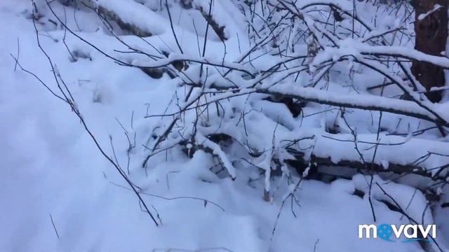 Рыбалка 2020. Тюмень оглянитесь по сторонам. смотреть онлайн