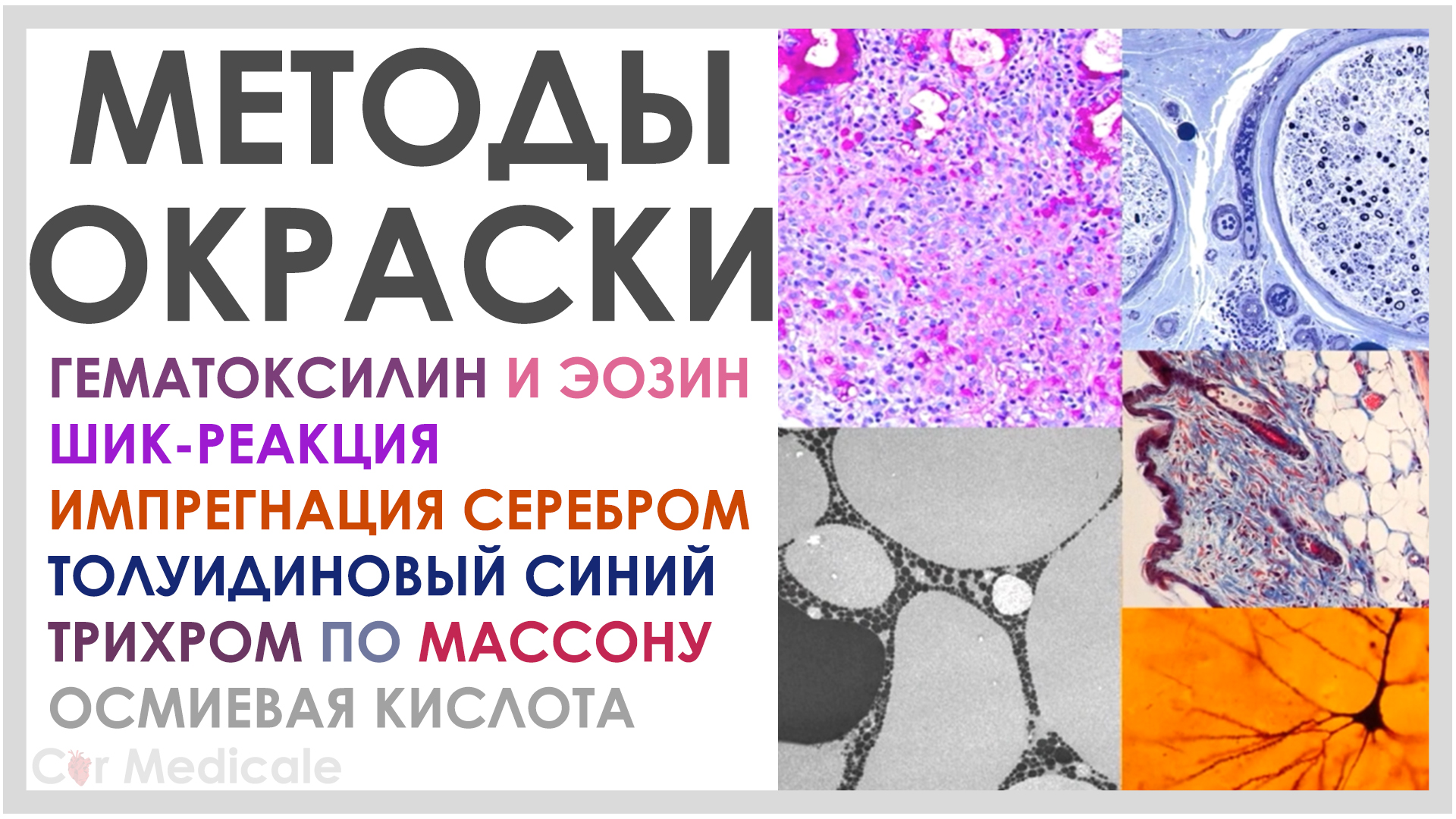 Методы окраски