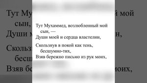 Ненавидел ли Низами Гянджеви тюркский язык? #низами #тюрки #азербайджанцы #азербайджан #садвал