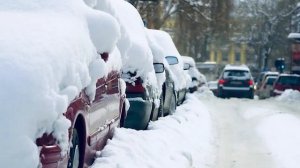 Почему автомобиль нельзя надолго оставлять без движения?