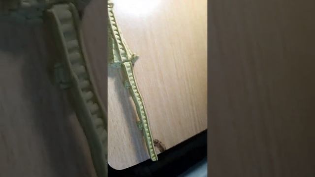 Поделка из пластилина  1 смотреть онлайн