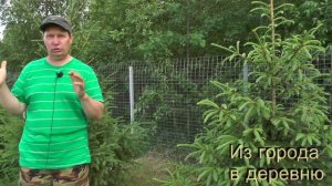 Самый практичный и недорогой забор для деревни