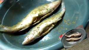 Судак на углях в решотке