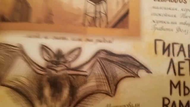 обзор на книгу Гравити Фолз (1 часть) смотреть онлайн