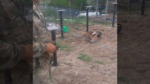 Фундамент на сваях под коттедж.mp4