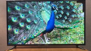 Обзор Телевизор Samsung 55 Smart 4К