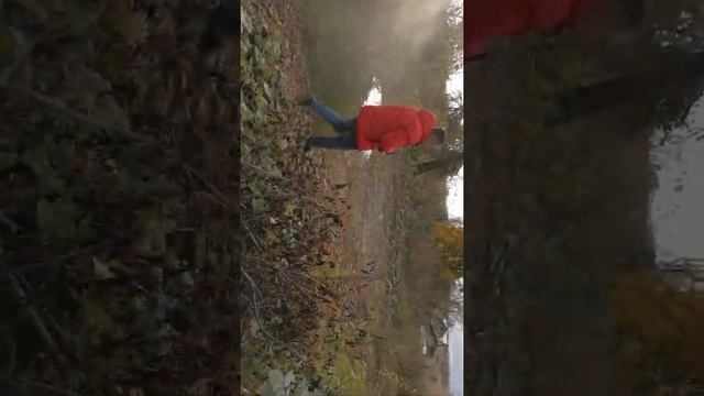 Испытание порошкового огнетушителя... смотреть онлайн