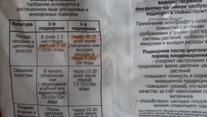 Что бы рассада не вытягивалась-дайте подкормку водорастворимым удобрением монокалийфосфат.