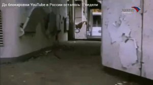 Полный Эфир Телеканал "Россия Эльксина" (28.08.2024) в 12:00