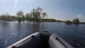 Admiral 375 Sport + болотоход SPS-2 15 л.с., мель, заливные луга, драйв