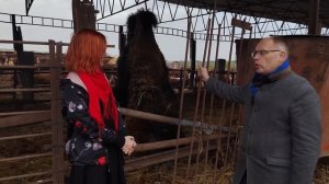 Своими глазами - Котельниковский район Волгоградской области