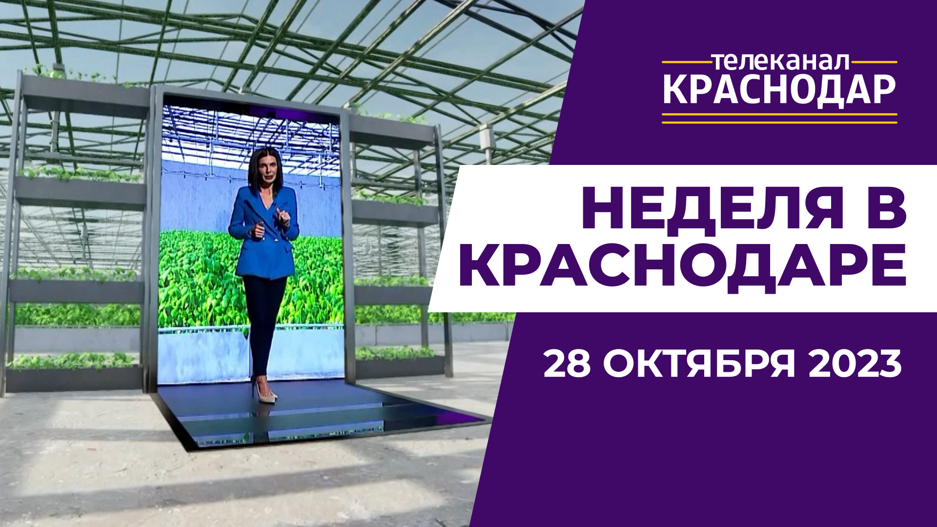 Стенд Кубани на выставке «Россия», повышение маткапитала. Неделя в Краснодаре 28 октября