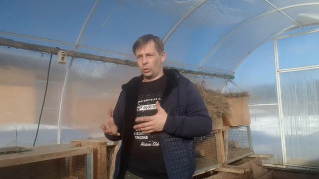 Этого кролика в книгу рекордов Гиннесса 😂 смотреть онлайн