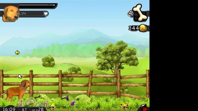 кот и пёс серия 398 - играем в принеси?❤ смотреть онлайн