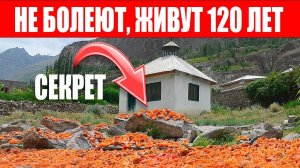 Живут 120 лет, не болеют, рожают в 65... самая лучшая диета в мире