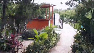 Grand Muthu Cayo Guillermo MGM 5 ***** Cuba