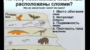 Тема 6  Теория Ховинда   Кент Ховинд    Творение или эволюция