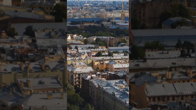 Квартиры бизнес-класса в шаге от Петроградской стороны #квартира #квартираспб #квартирапродажа