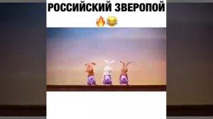 Русский зверо пой