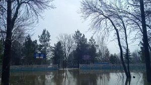 В Оренбурге кладбище в Южном Урале затопило