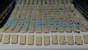 Автоматический укладчик отформованных изделий на противень АП-1