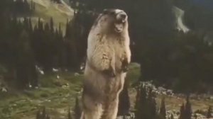 Вот и лето прошло, словно и не бывало