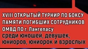 XVIII Открытый турнир по боксу памяти погибших сотрудников ОМВД по г. Лангепасу