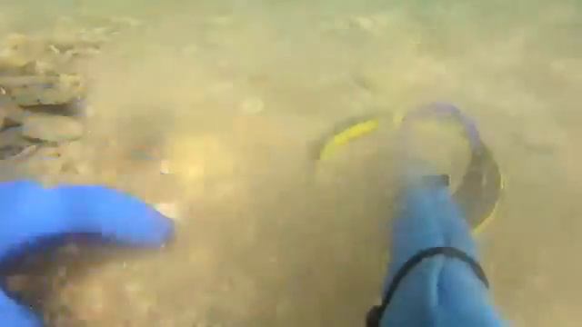 Поиск золота под водой с металлоискателем Minelab Excalibur II