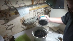 Про червей! домашняя мини-вермиферма. Часть 2.